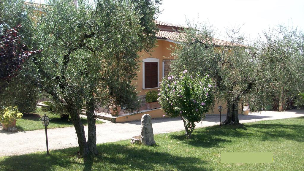Il Giardino Degli Ulivi Bed & Breakfast Canneto  Ngoại thất bức ảnh