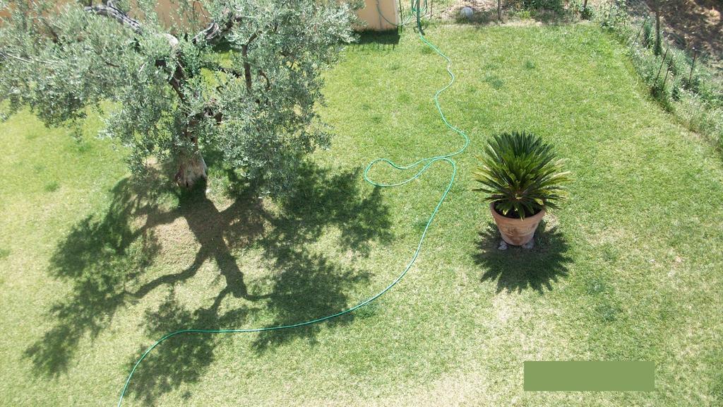 Il Giardino Degli Ulivi Bed & Breakfast Canneto  Ngoại thất bức ảnh
